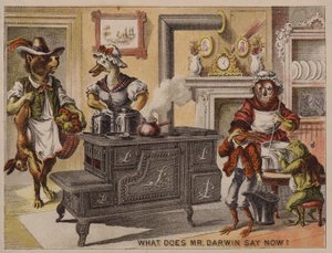 Que dit M. Darwin maintenant ? Carte publicitaire américaine pour les cuisinières Leader fabriquées par Eddy, Corse & Co, Troy, New York - American School